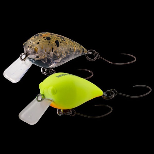 ＭＩＮＩ　ＫＵＲＡ　Ｆ